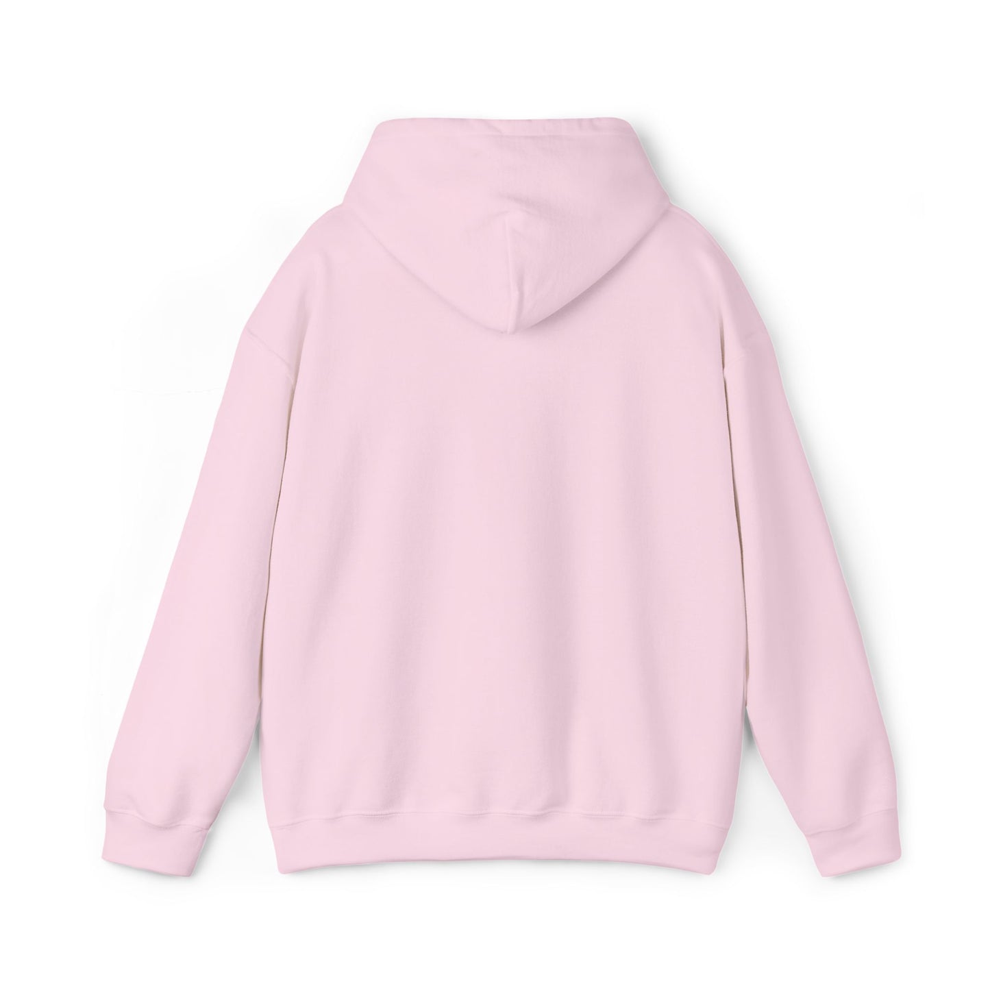 Na'cho Average Brand Embroidered Hoody
