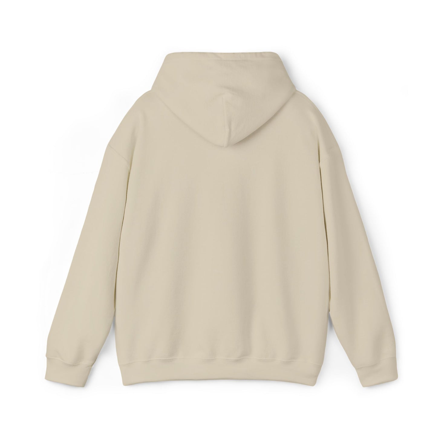 Na'cho Average Brand Embroidered Hoody