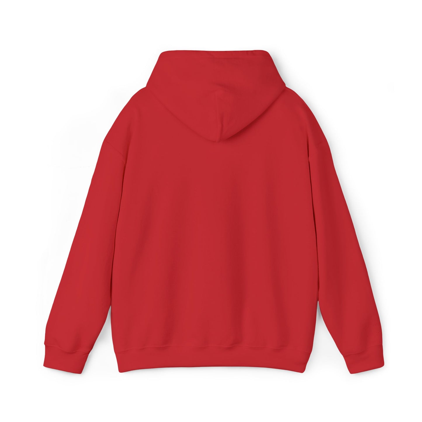 Na'cho Average Brand Embroidered Hoody
