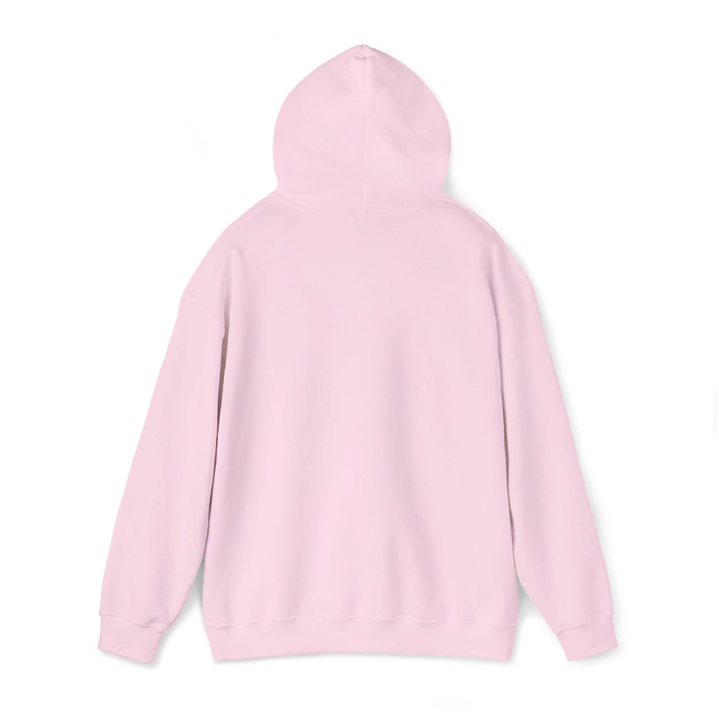 Na'cho Average Brand Embroidered Hoody